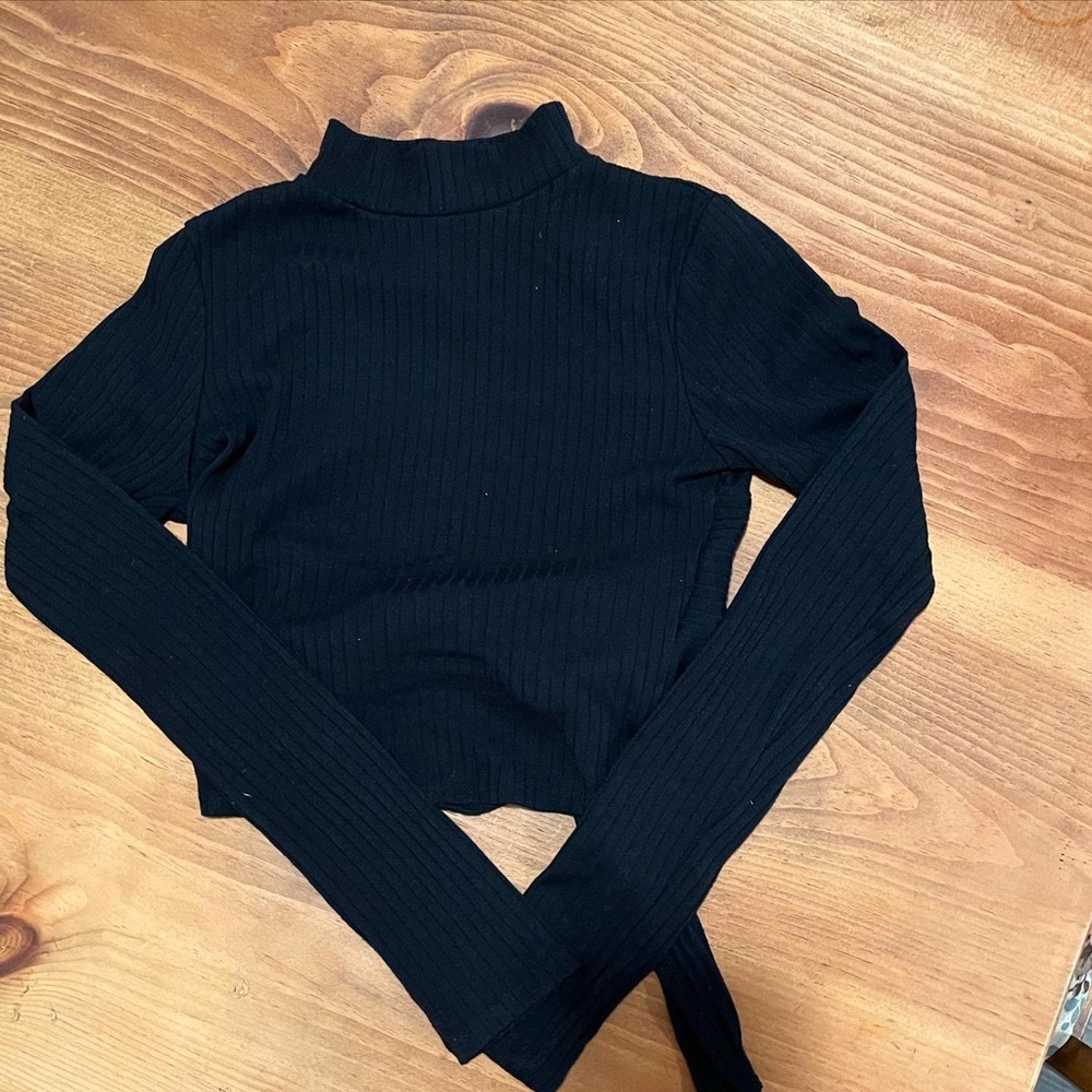 Black Long Sleeve Turtleneck Crop Top